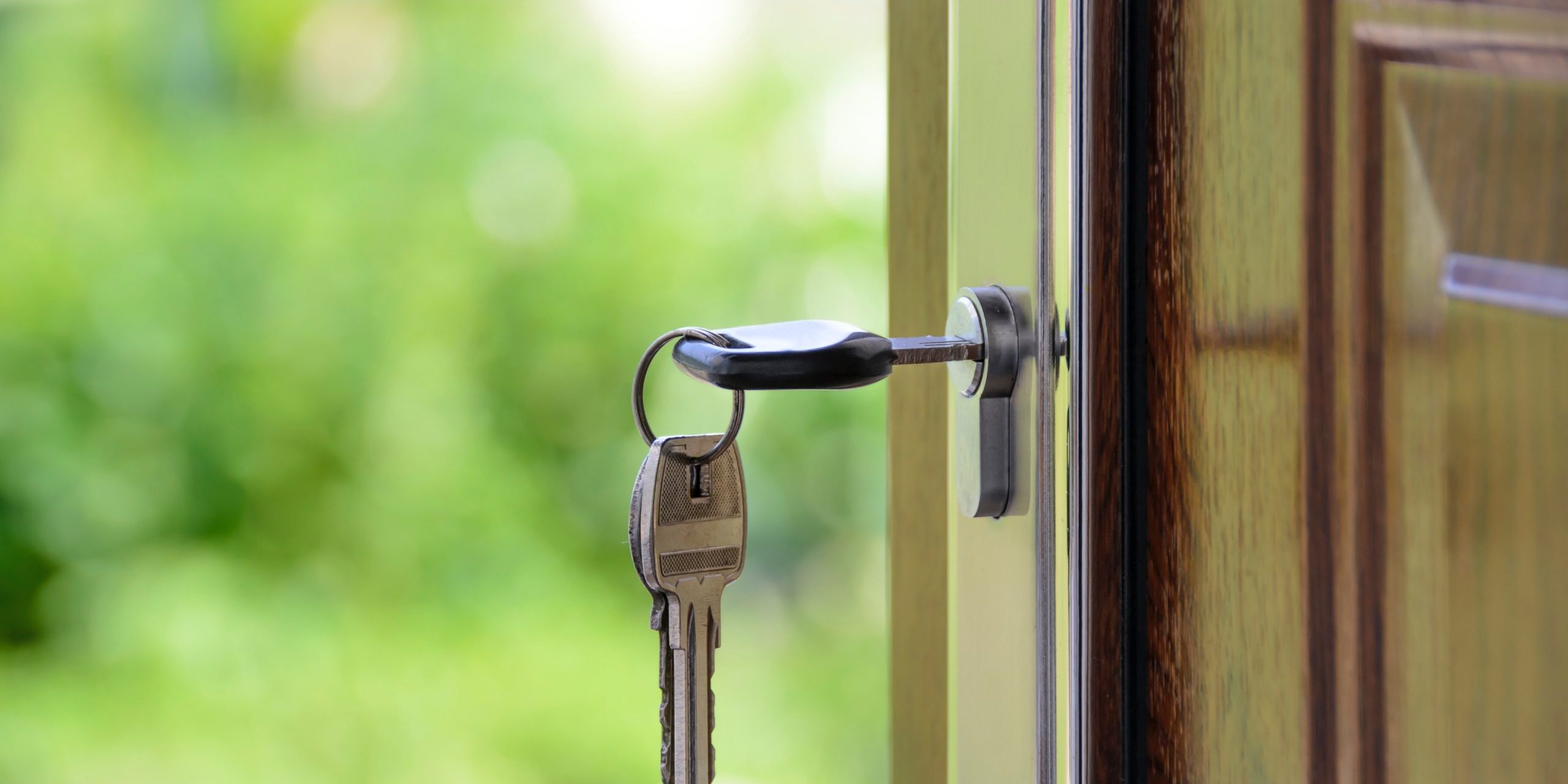 pexels-photomix-company-101808-scaled-2560×1280 Open Door